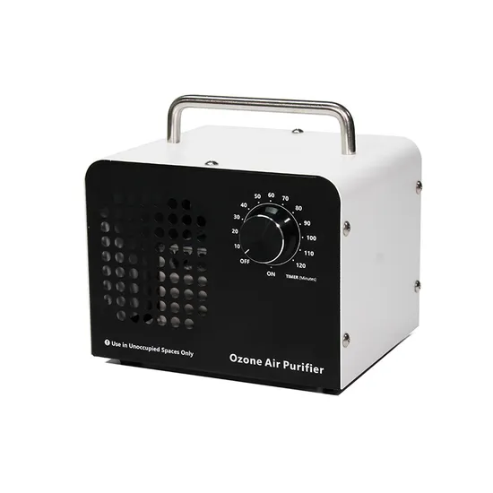 220V 20g Portable Home Car Ozone Generator for Removal Odor